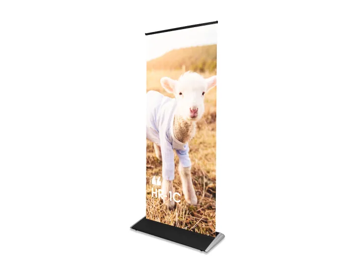 corporate roll up banner USA